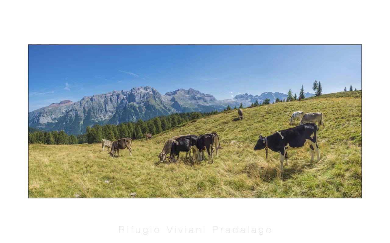 Rifugio Viviani Pradalago Hotel Madonna di Campiglio Exterior photo